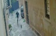Lecce, uccide a calci un gatto randagio. Il sindaco: 