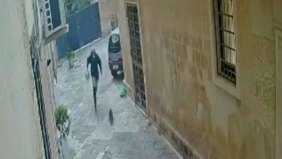 Lecce, uccide a calci un gatto randagio. Il sindaco: 