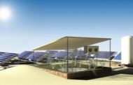 Con un pannello solare e un idrogel gli spinaci sono cresciuti nel deserto