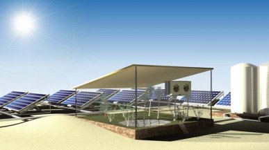 Con un pannello solare e un idrogel gli spinaci sono cresciuti nel deserto