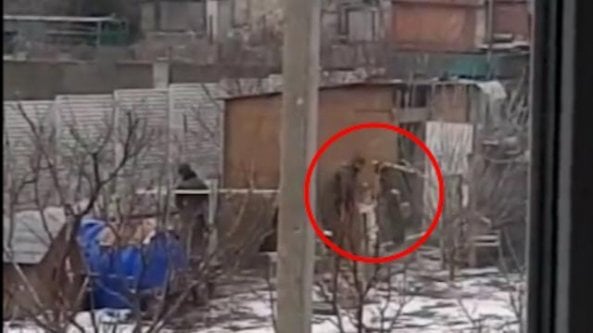 La scena senza tempo: soldati russi rubano galline in un pollaio   di Gianluca Di Feo