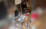 Terremoto di magnitudo 7.3: il momento della scossa all'interno di un'abitazione