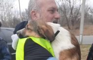 Ucraina, in furgone per recuperare 50 cani salvati dalle bombe: il viaggio di due volontari di Fasano