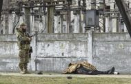 Ucraina-Russia, le news di oggi dalla guerra. Zelensky oggi parlerà all'Onu: 