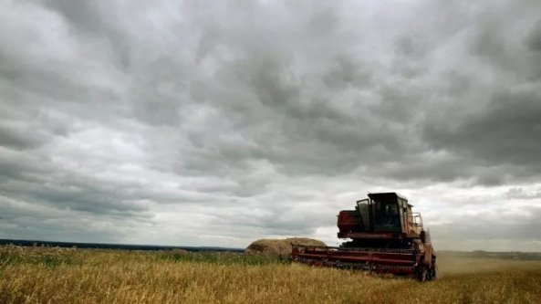 La grande carestia. Il conflitto tra le due “superpotenze agricole” sta affamando i Paesi in via di sviluppo