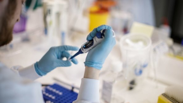 La paura del Covid frena la fecondazione assistita: “4.700 nascite in meno”