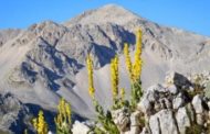 Cosa fare a Pasqua e a Pasquetta. Cinque proposte italiane a contatto con la natura