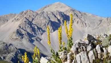 Cosa fare a Pasqua e a Pasquetta. Cinque proposte italiane a contatto con la natura