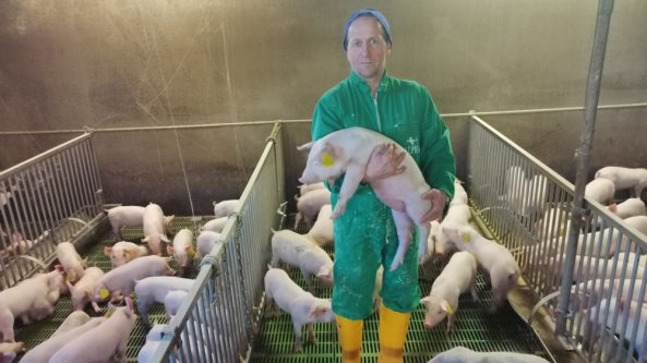 L'azienda agricola del Monferrato dove i maiali producono energia rinnovabile