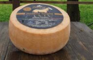 Pecorino reggino, un formaggio calabrese sulla vetta del mondo