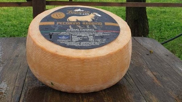 Pecorino reggino, un formaggio calabrese sulla vetta del mondo