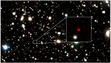 HD1, la galassia più lontana mai scoperta. Brillava 13,5 miliardi di anni fa