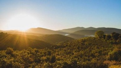 Previsioni meteo, il tempo migliora ma per la Domenica delle Palme arriva la pioggia. A Pasqua soleggiato