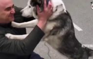La commovente corsa del cane smarrito verso il suo proprietario ritrovato
