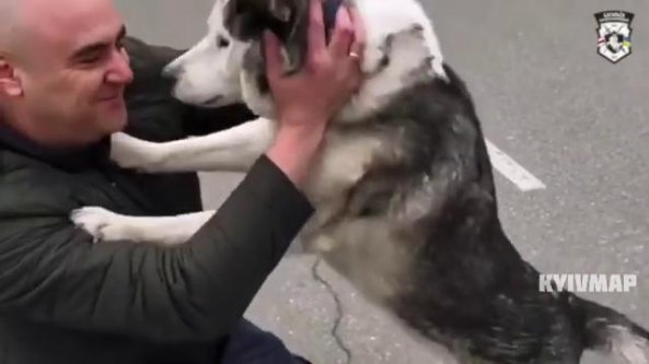 La commovente corsa del cane smarrito verso il suo proprietario ritrovato