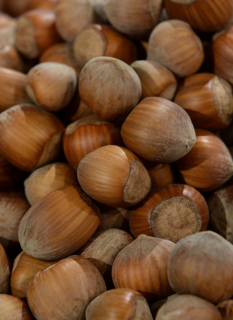 Ferrero punta sulla nocciola calabrese