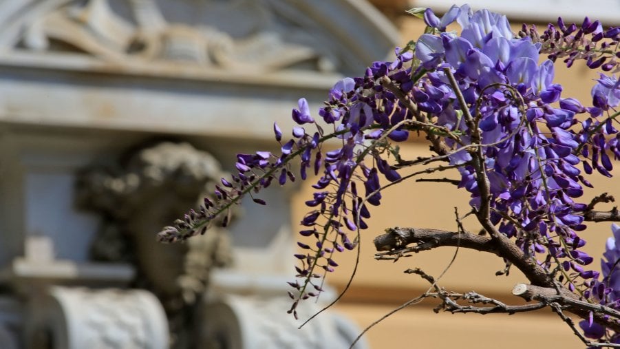 Previsioni meteo, da giovedì caldo primaverile
