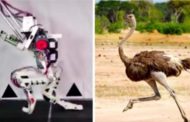 La sfida impossibile del robot che imita la corsa di uno struzzo