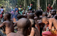 La vita, disgraziata e pericolosa, dei pigmei del Centrafrica