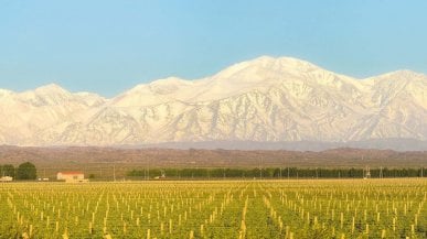 Sulla Strada del vino ai piedi delle Ande: ecco le 