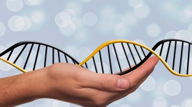 Alzheimer, identificate nuove varianti genetiche associate alla malattia