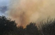 Incendi e calamità naturali, Piana: “Oltre 5 milioni al settore forestale per la prevenzione”