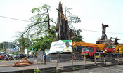L'albero simbolo della Sierra Leone è stato distrutto da una tempesta