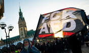 Germania: proteste in tutto Paese contro destra estrema AFD